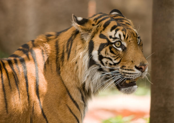 Tama Zoological Park